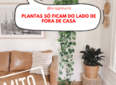 Mitos – Plantas Só Ficam Do Lado De Fora De Casa